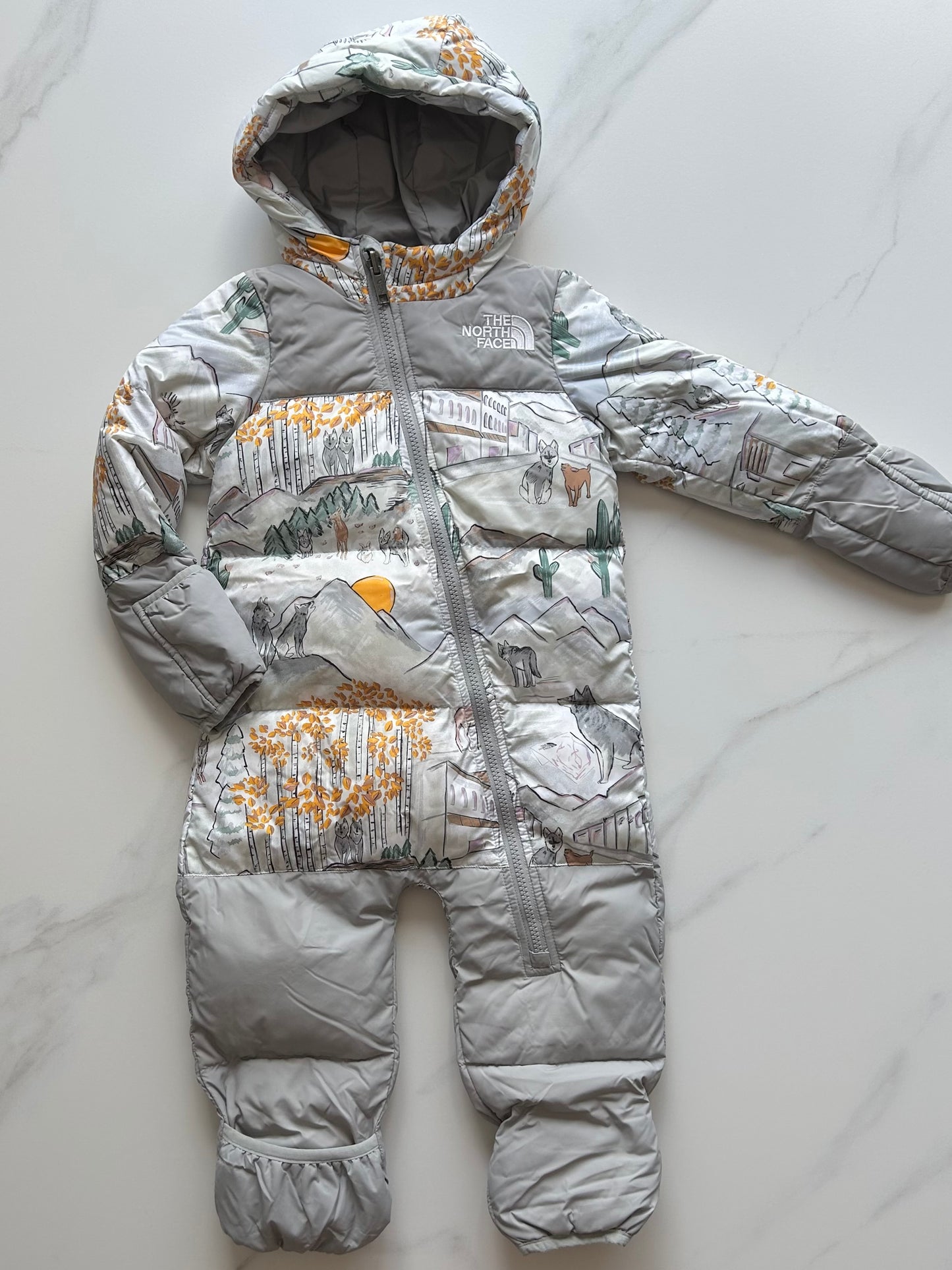 Manteau d’hiver une pièce - North face - 12-18 mois