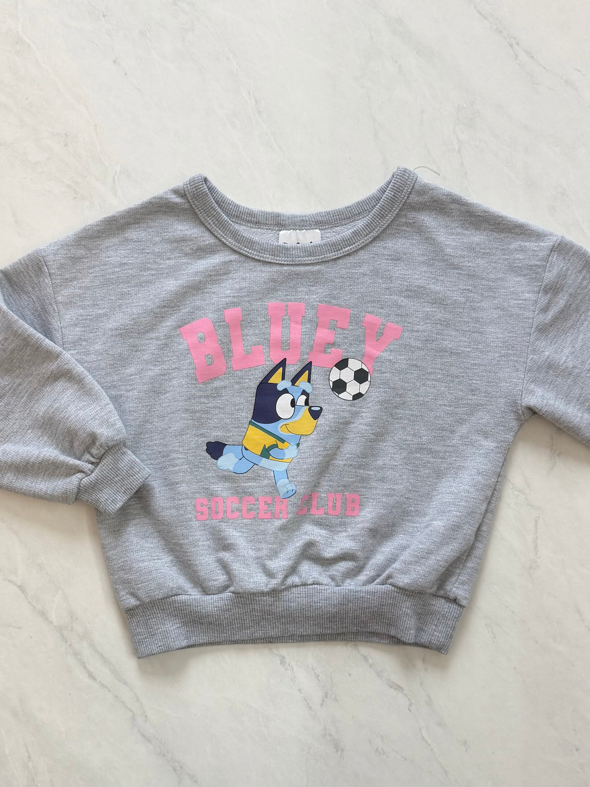 Crewneck - Bluey - 3T