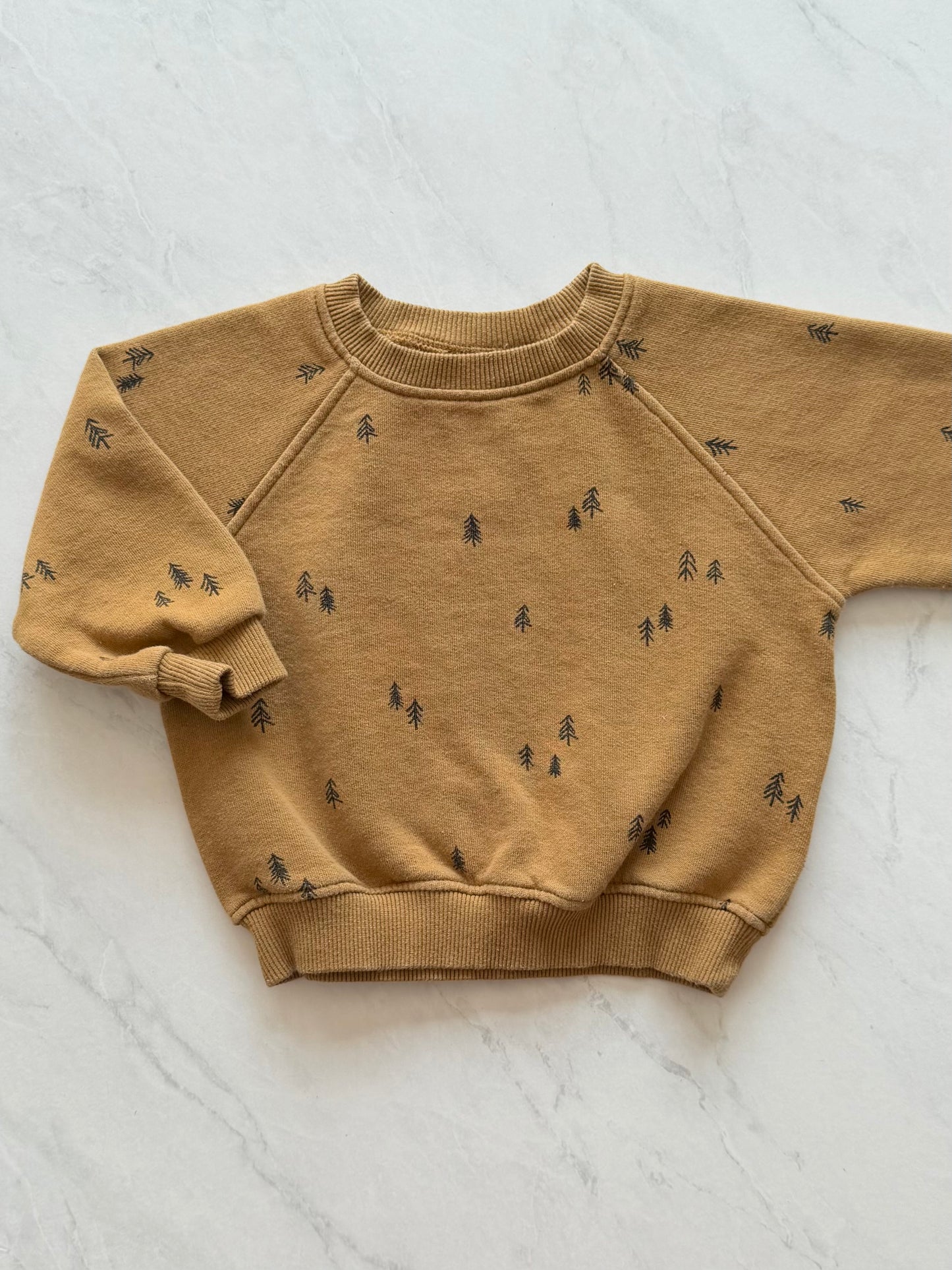 Crewneck - Zara - 12-18 mois