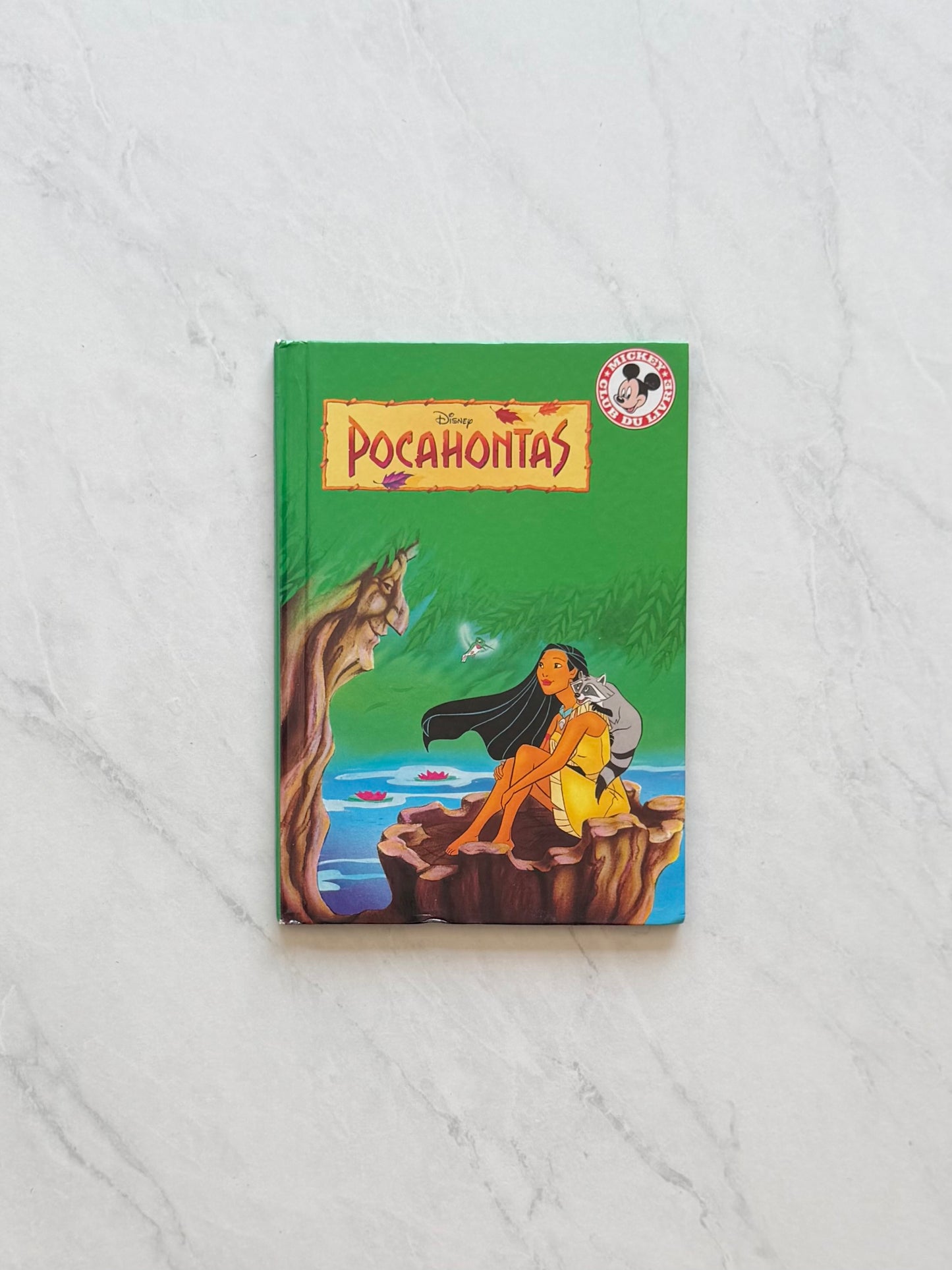 Livre jeunesse - Disney
