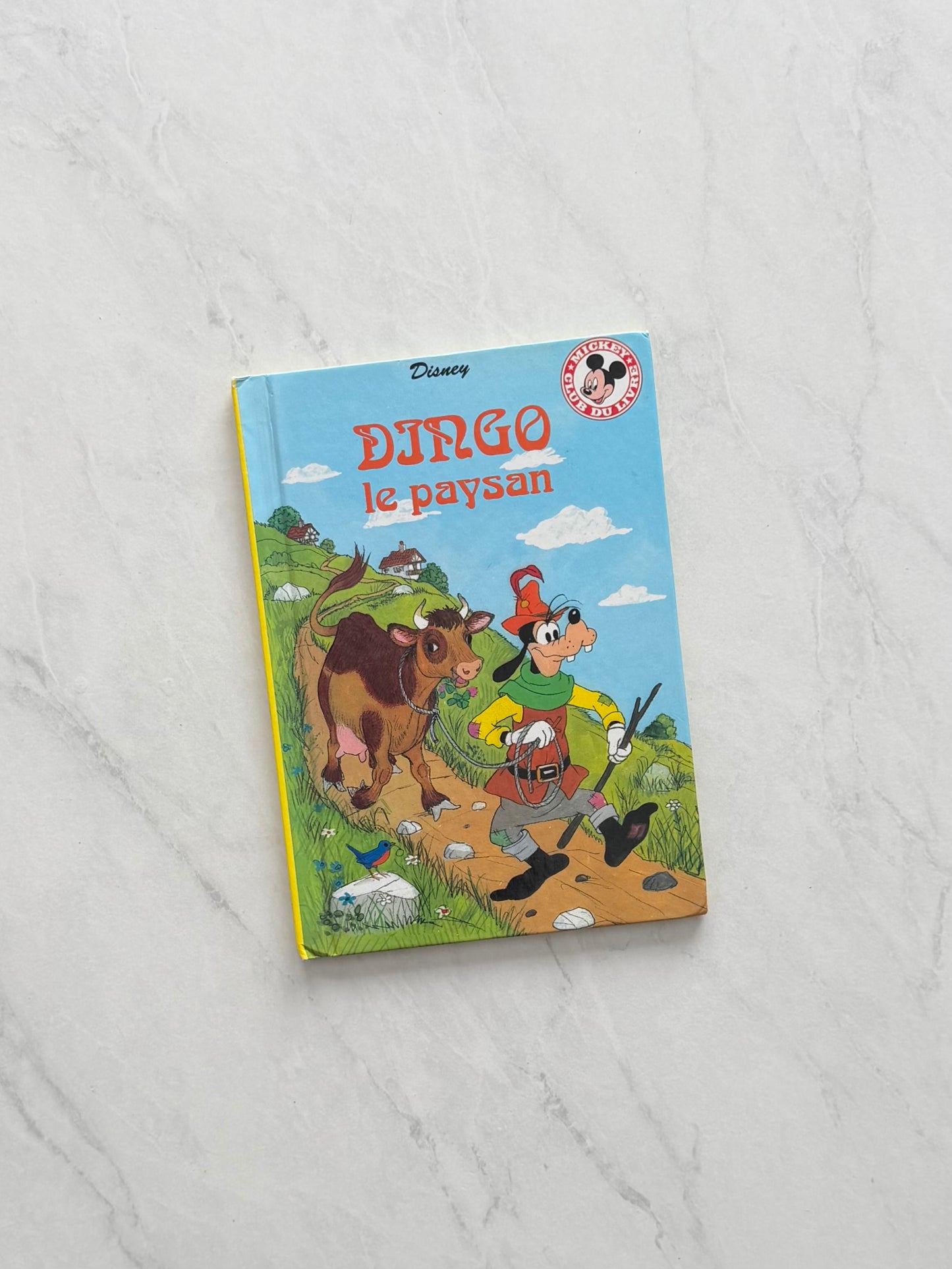 Livre jeunesse - Disney
