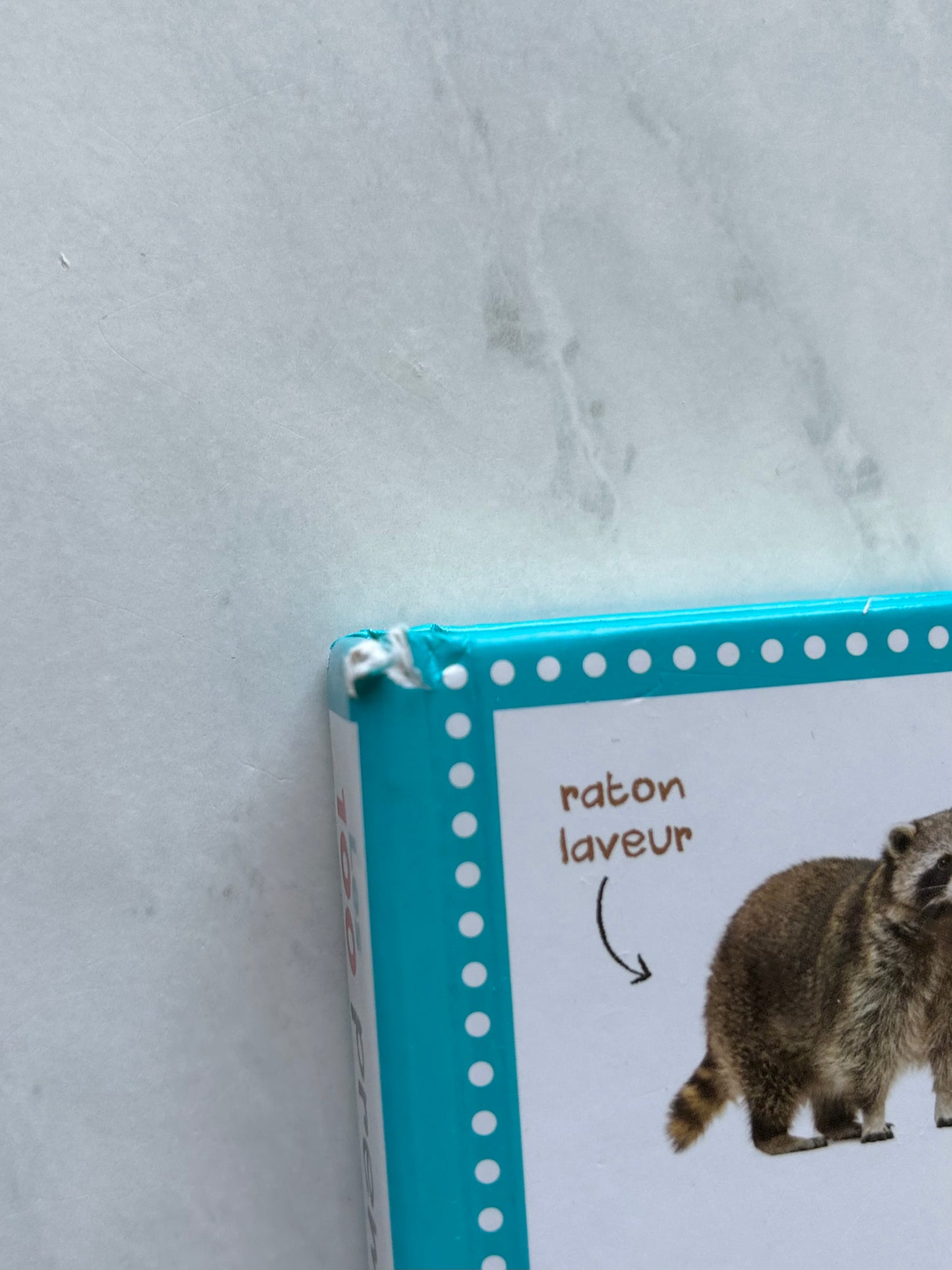 *Imparfait* Livre en carton