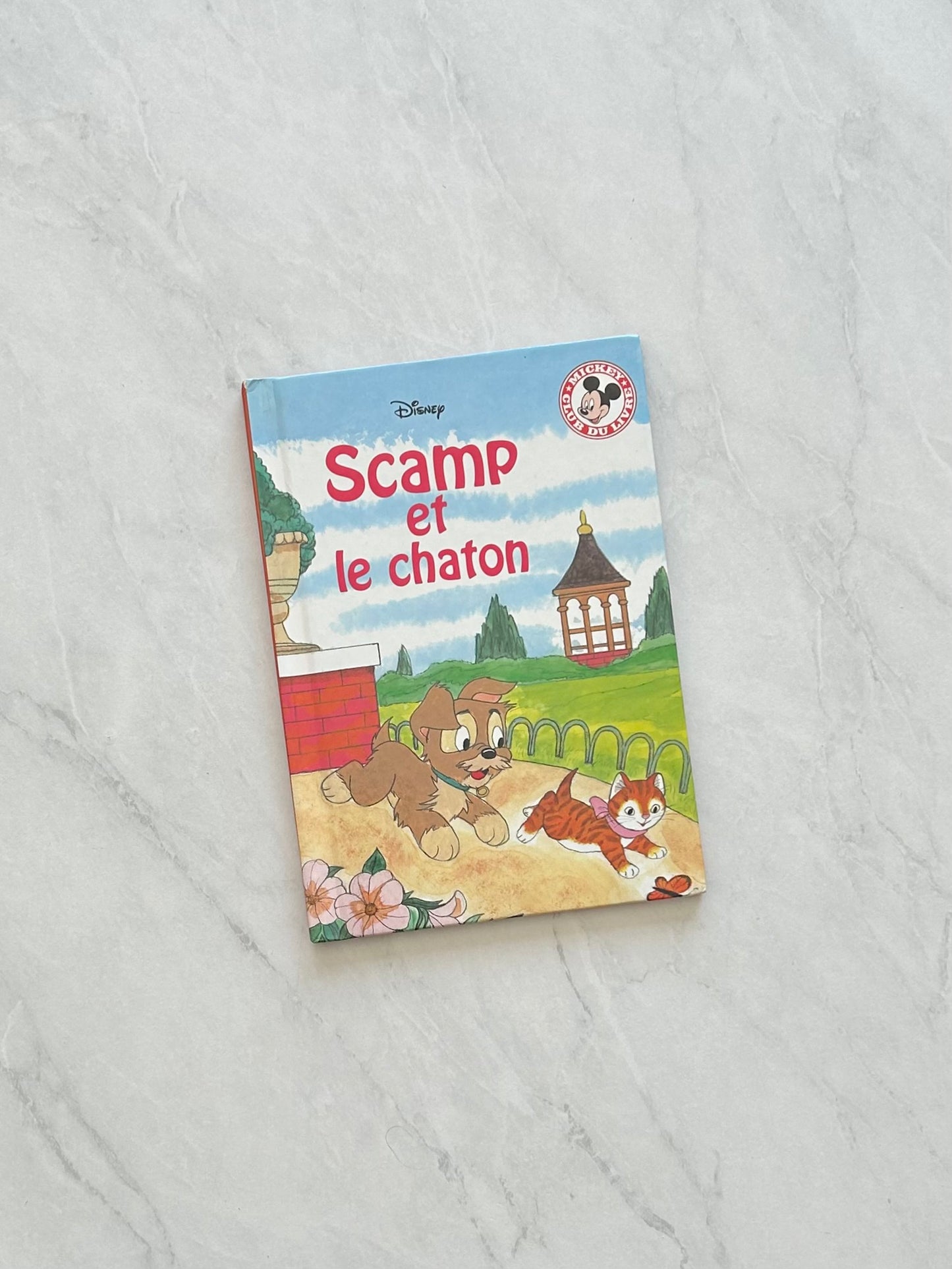 Livre jeunesse - Disney