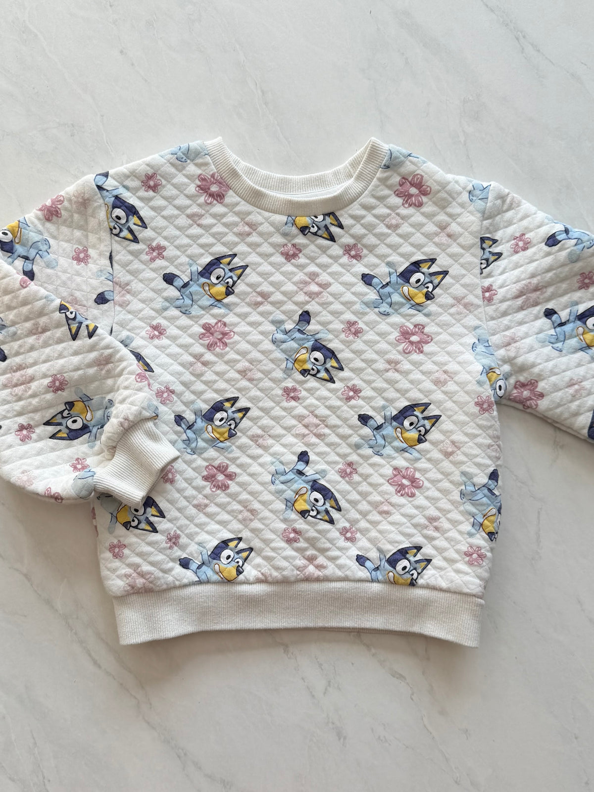Crewneck - Bluey - 5T (fait petit)