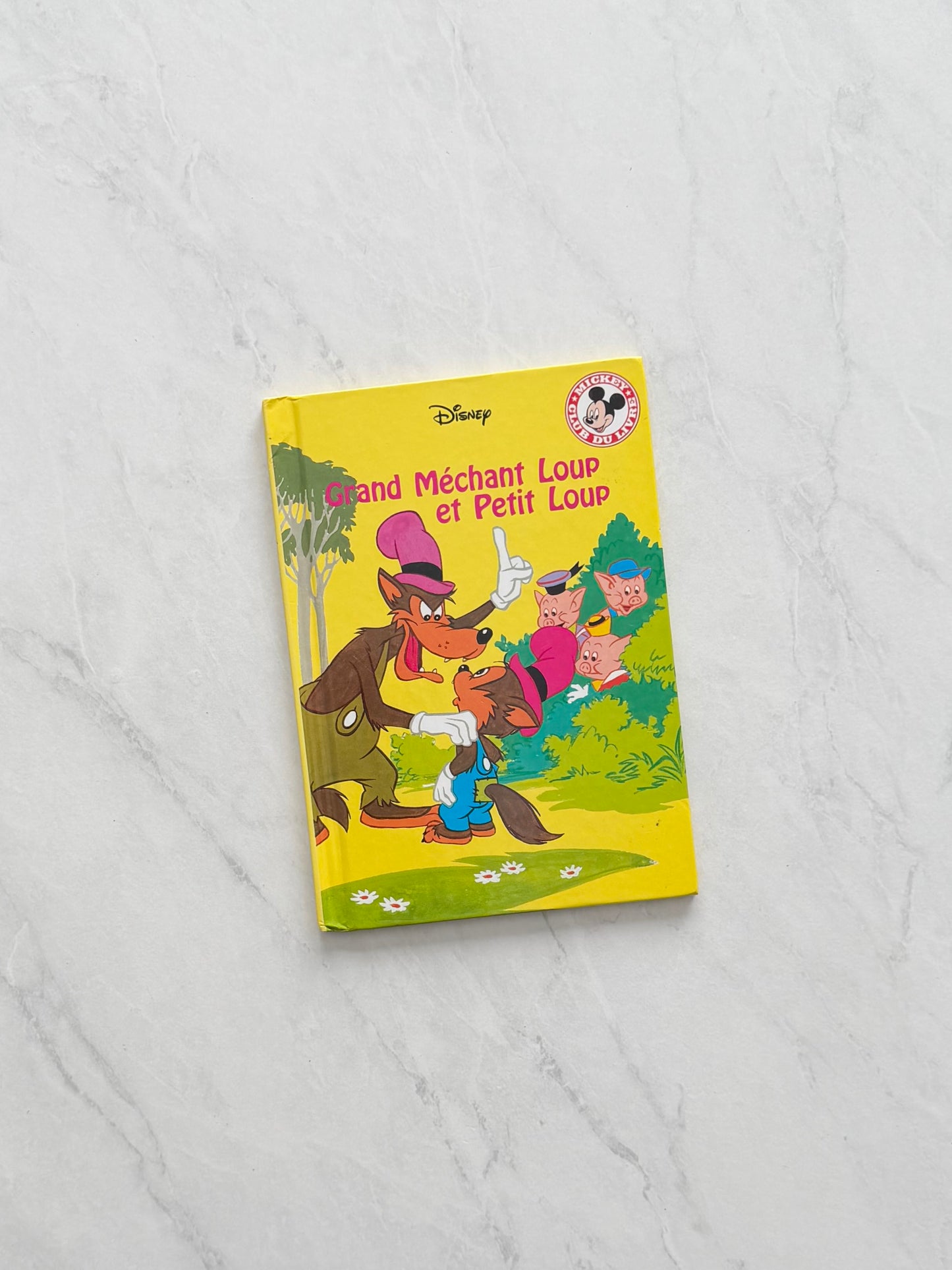 Livre jeunesse - Disney