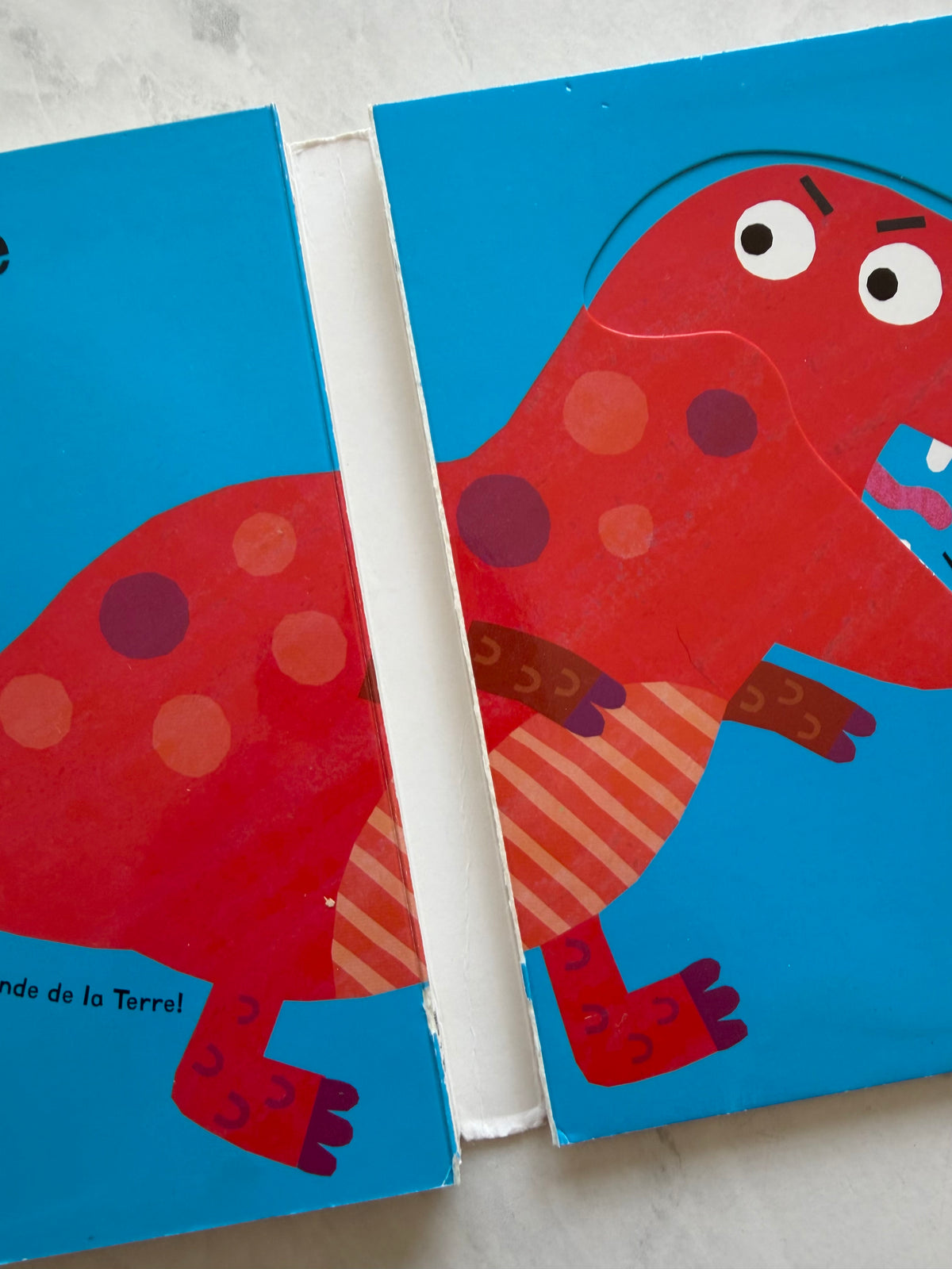 *Imparfait* Livre en carton