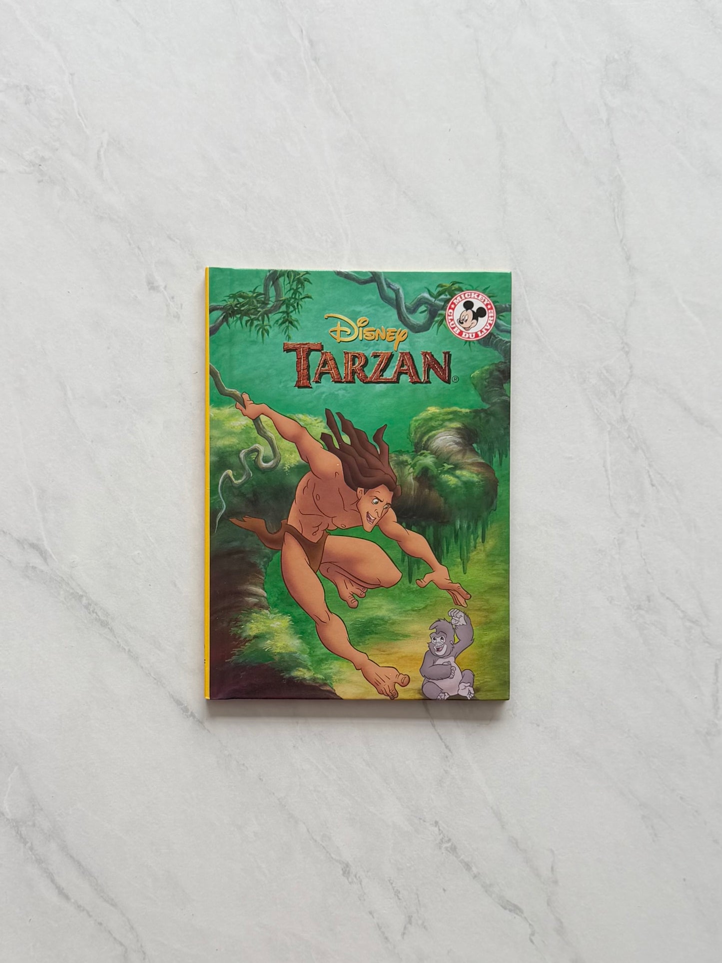 Livre jeunesse - Disney