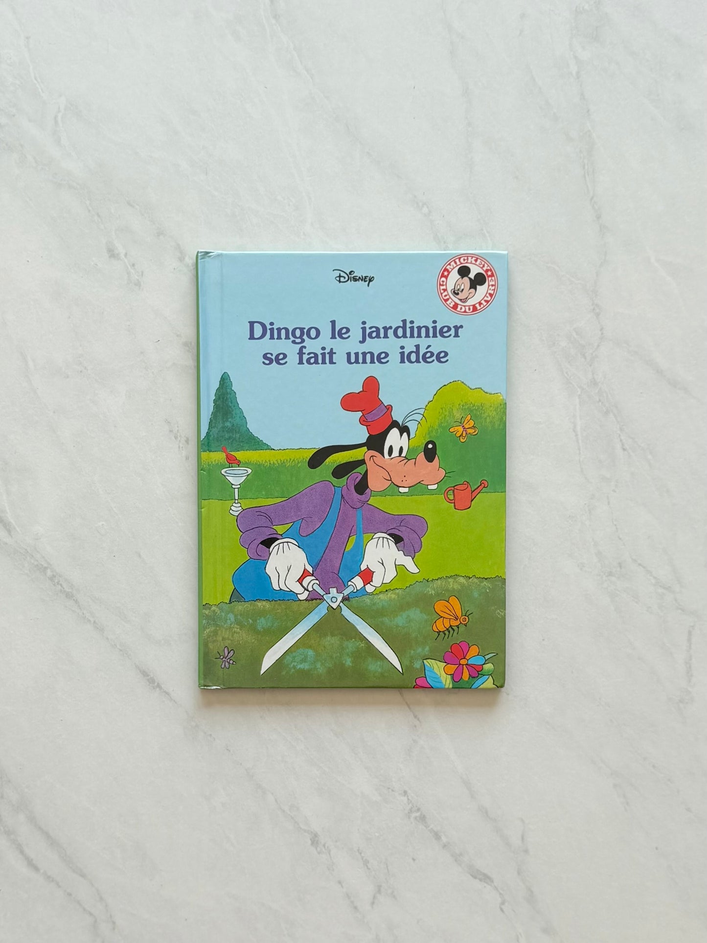 Livre jeunesse - Disney