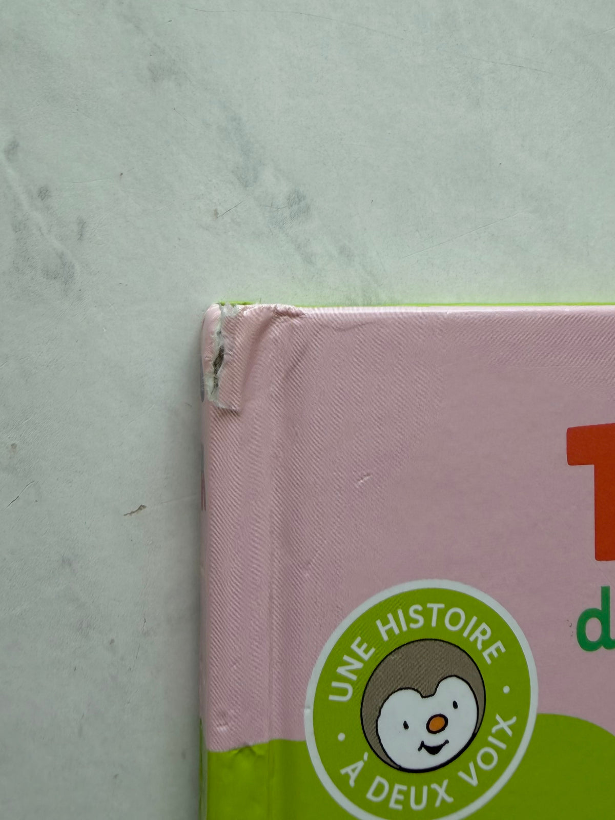 *Imparfait* Livre T’choupi