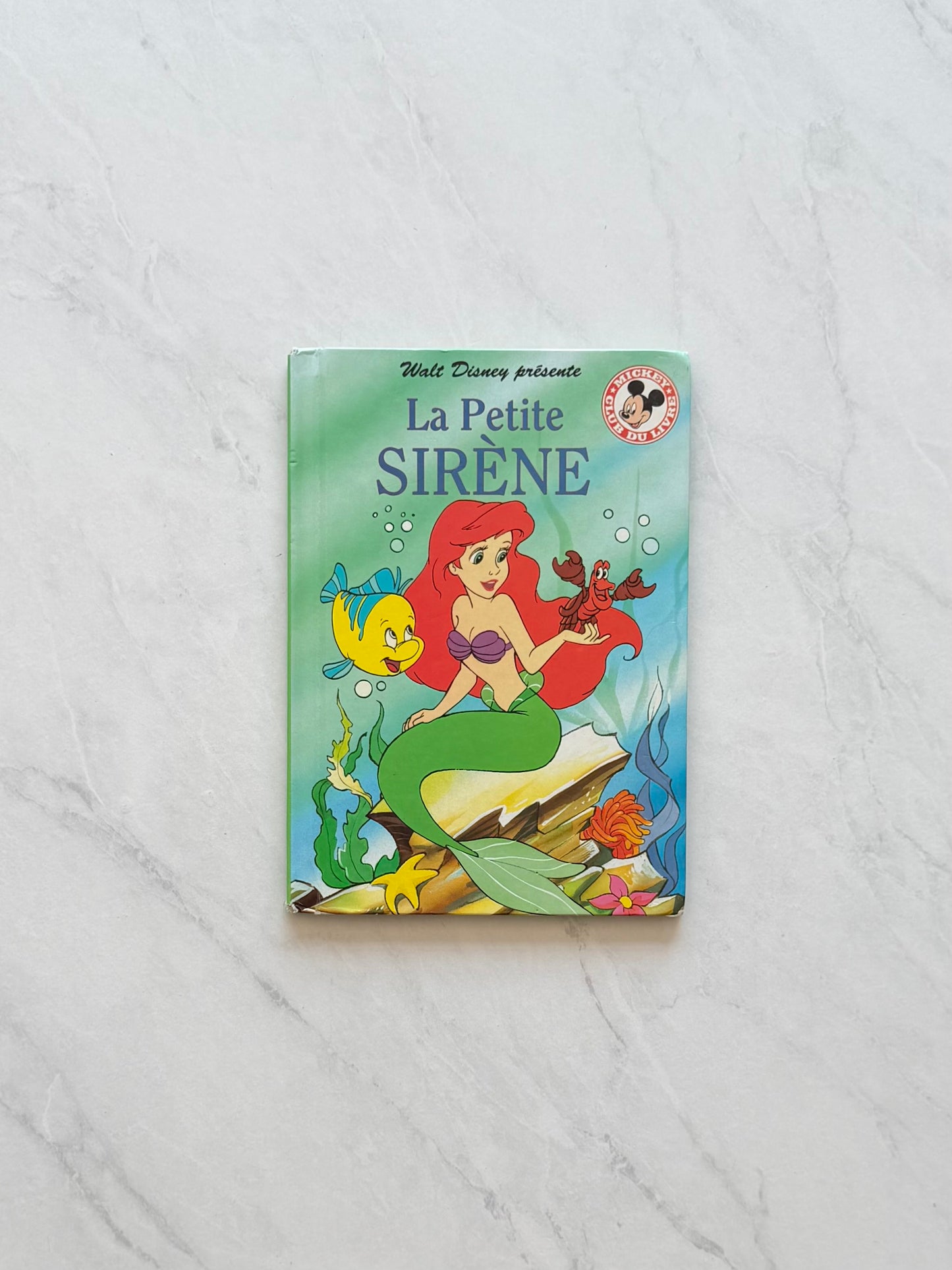 *Imparfait* Livre jeunesse - Disney