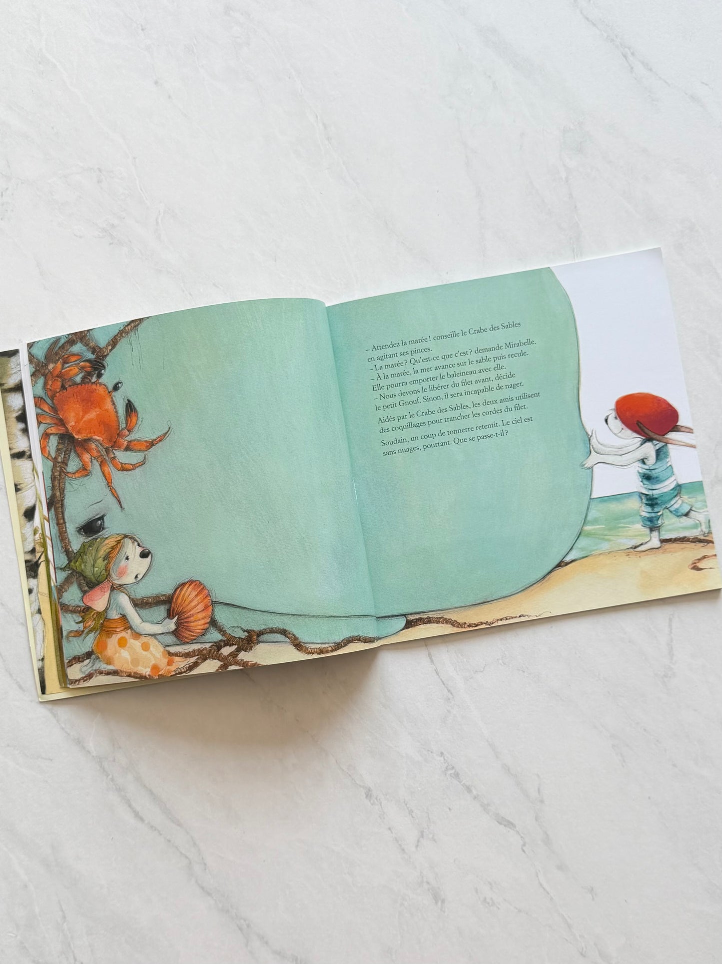 Livre jeunesse