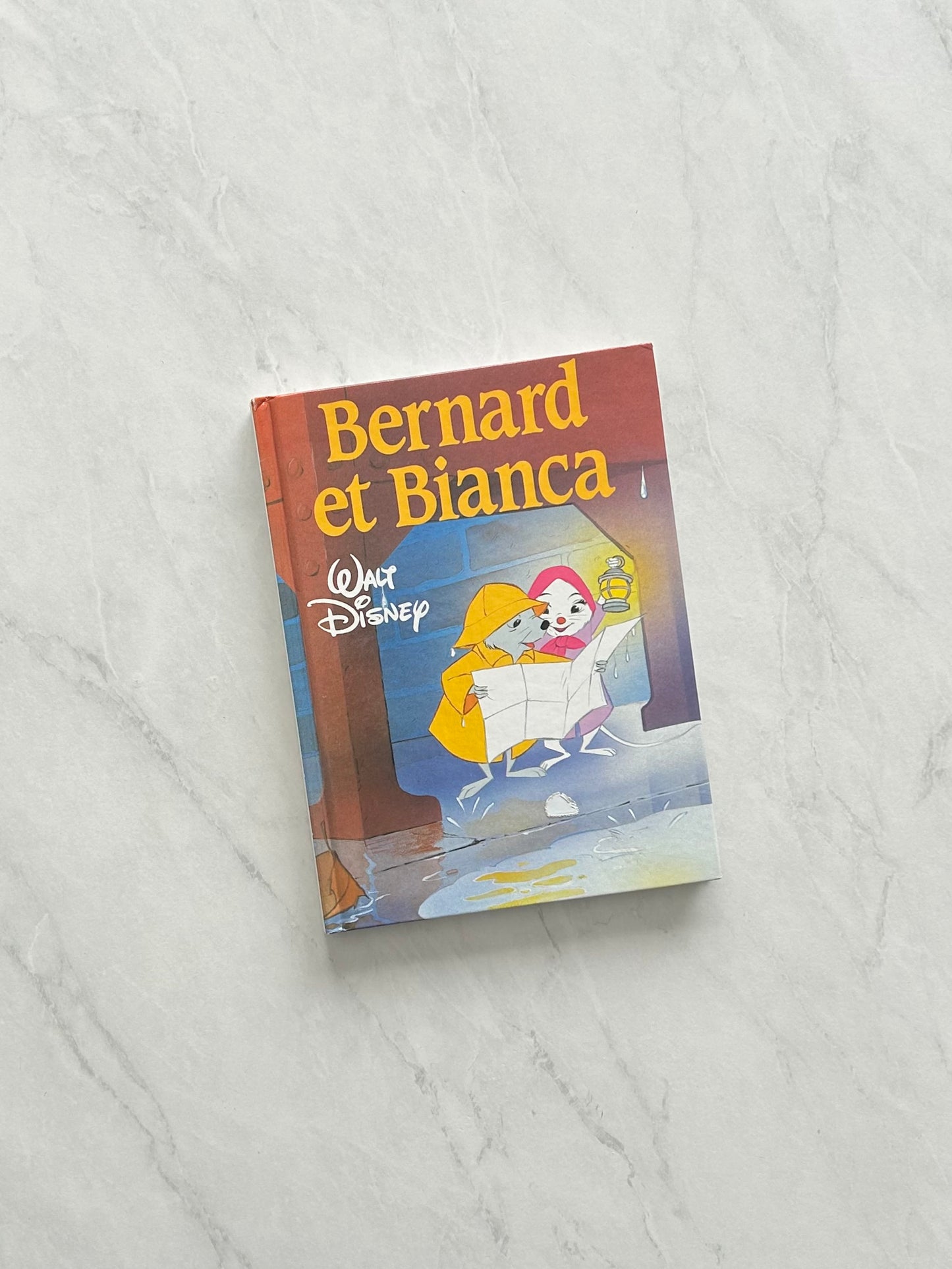 Livre jeunesse - Disney