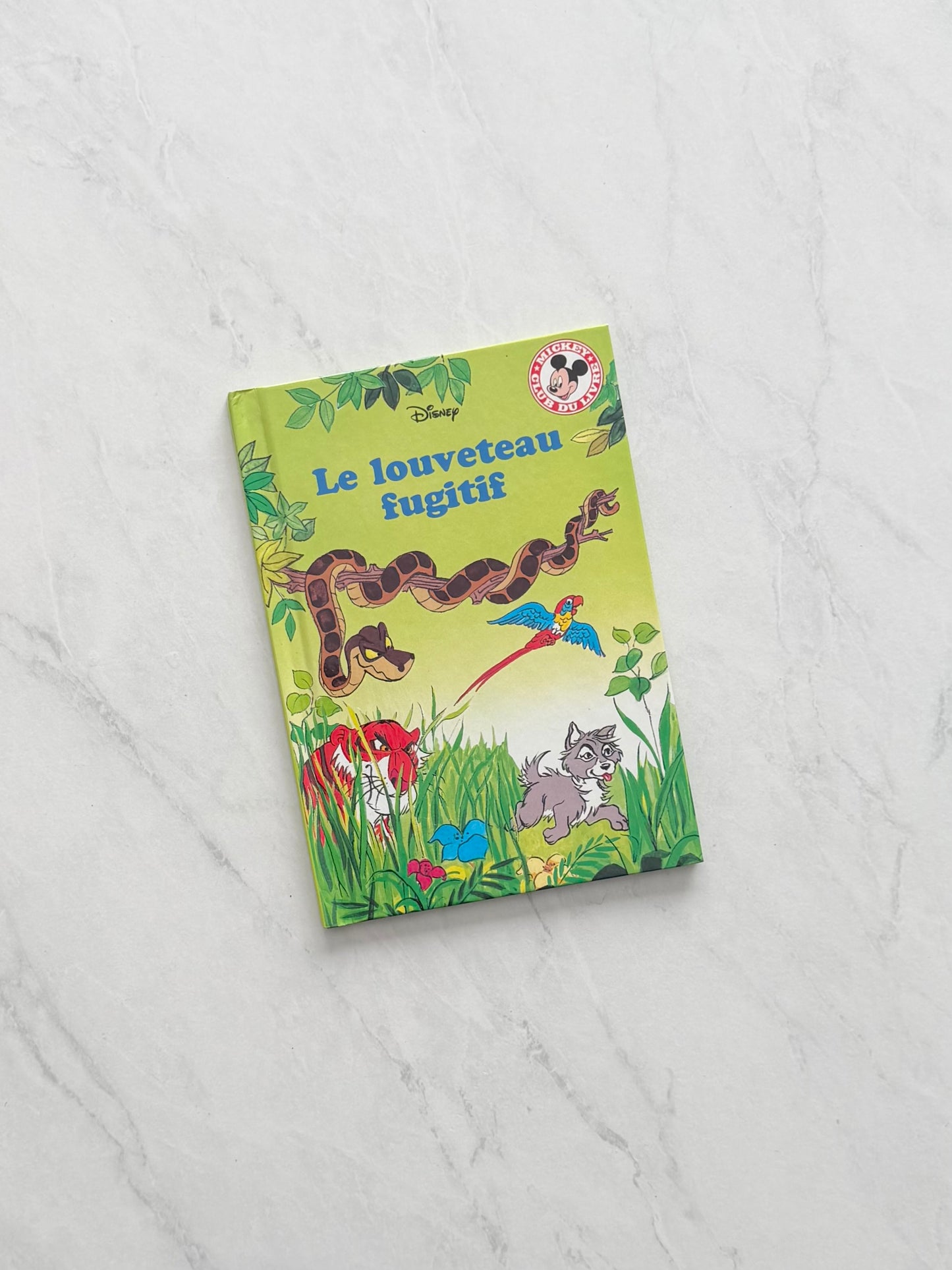 Livre jeunesse - Disney