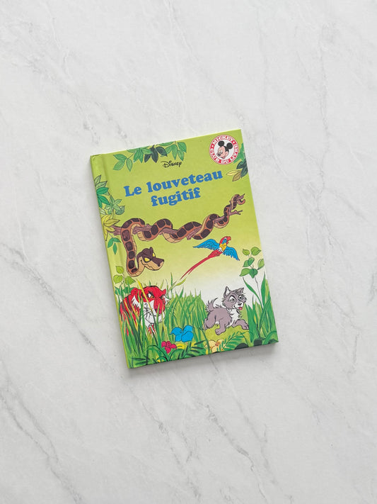 Livre jeunesse - Disney
