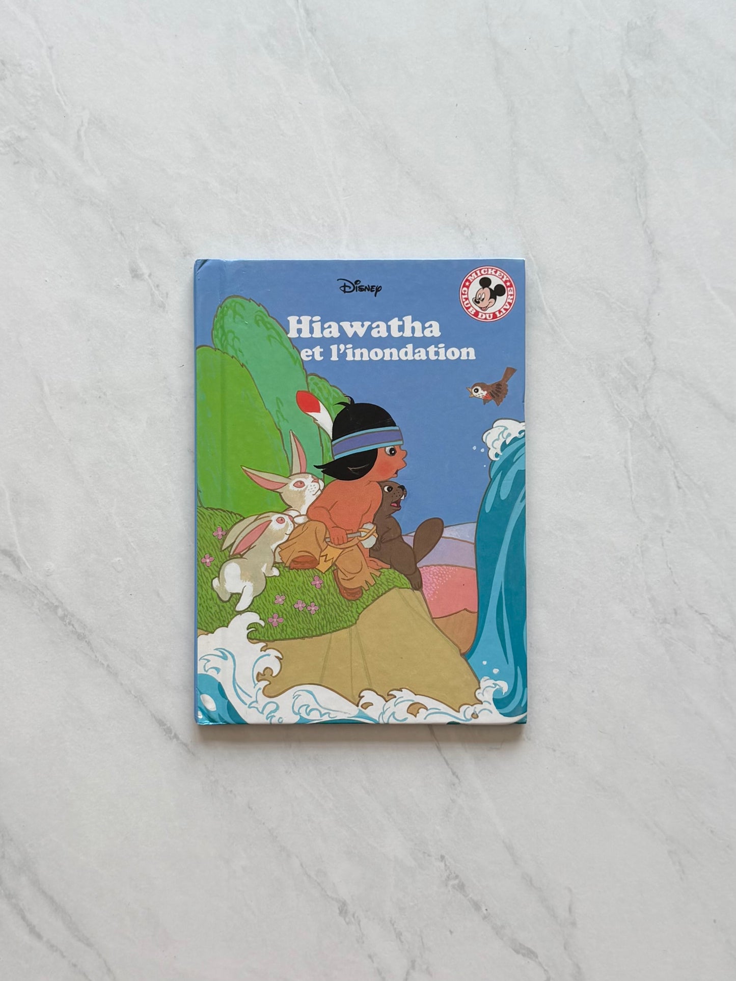 Livre jeunesse - Disney
