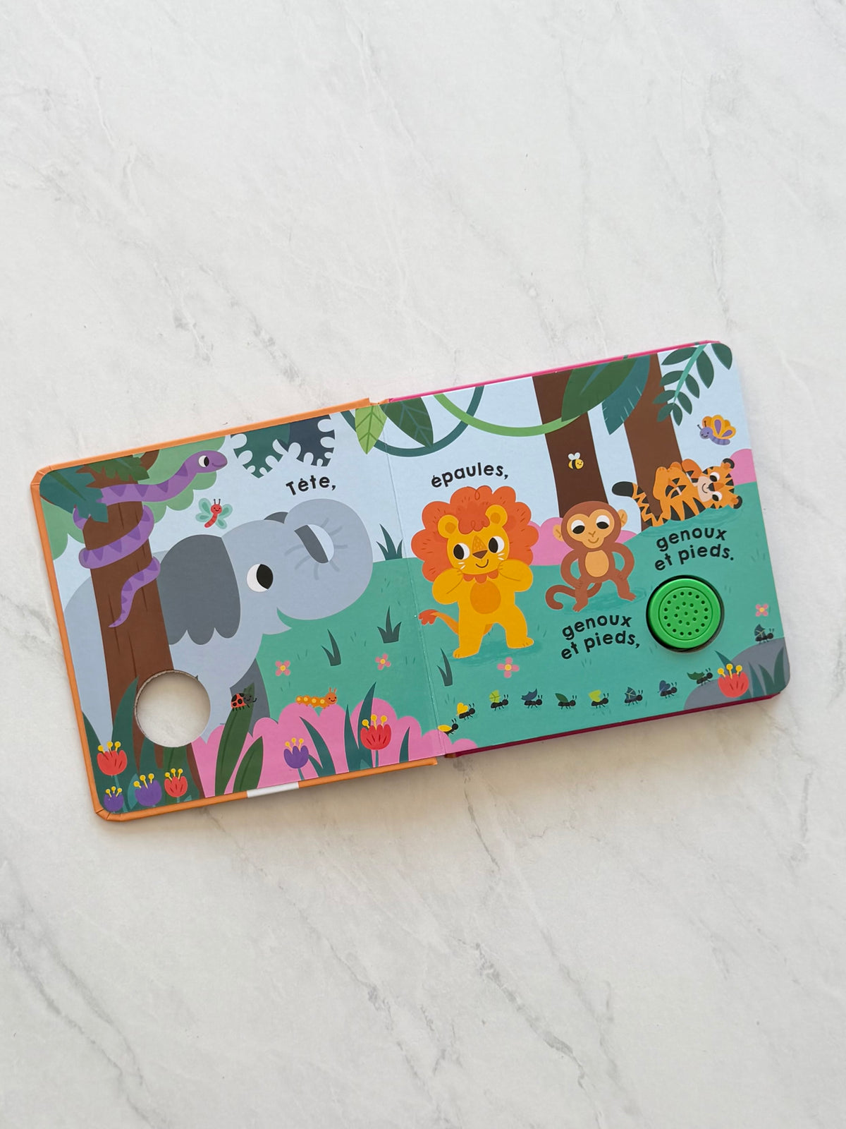 Livre en carton (batterie faible)