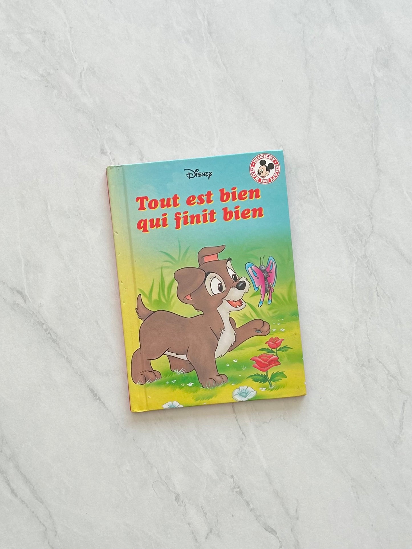 Livre jeunesse - Disney