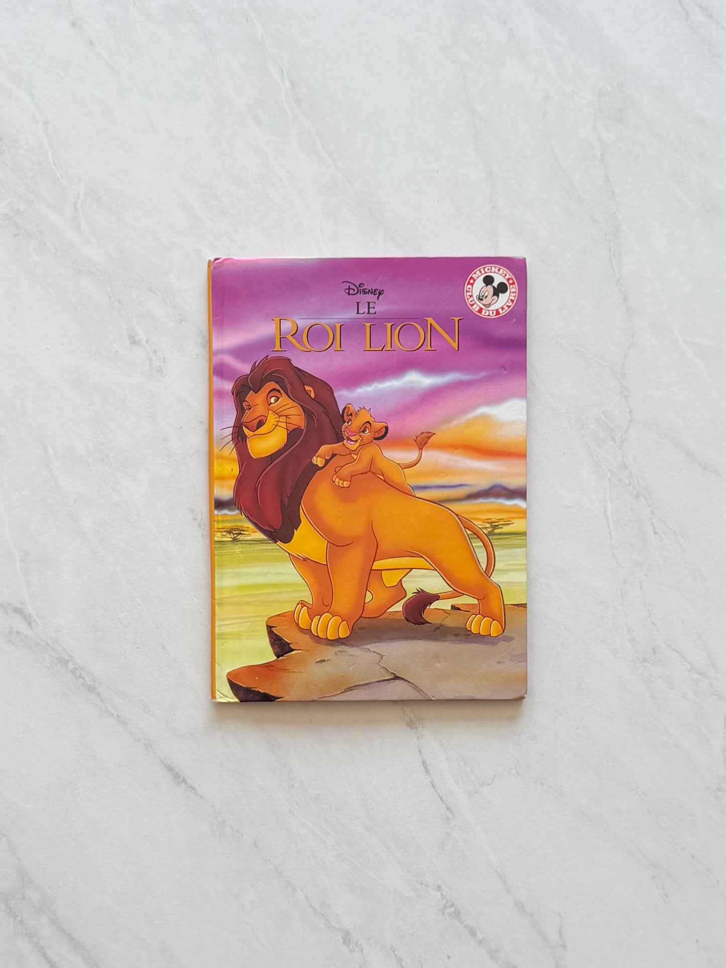 *Imparfait* Livre jeunesse - Disney