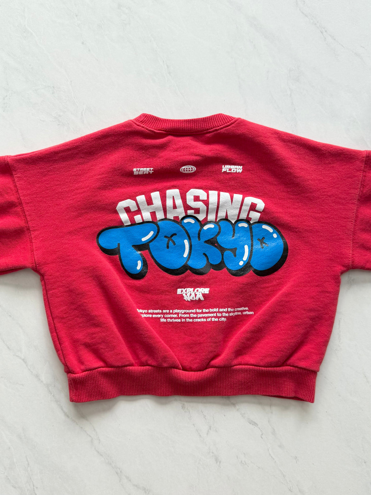 Crewneck - Zara - 4 ans