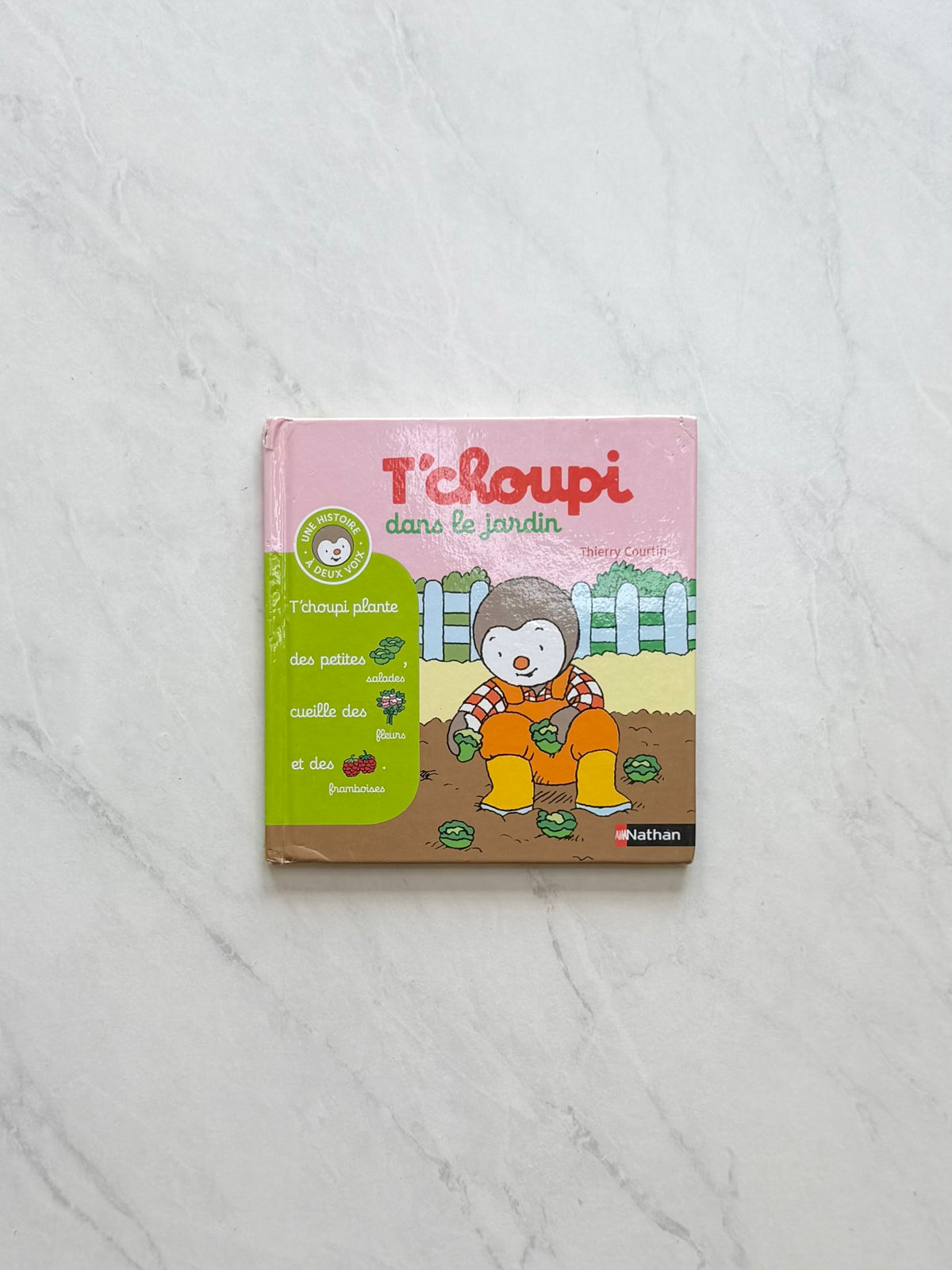 *Imparfait* Livre T’choupi