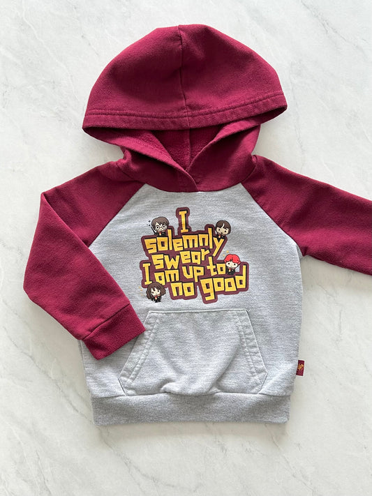 Coton ouaté - Harry Potter - 2T