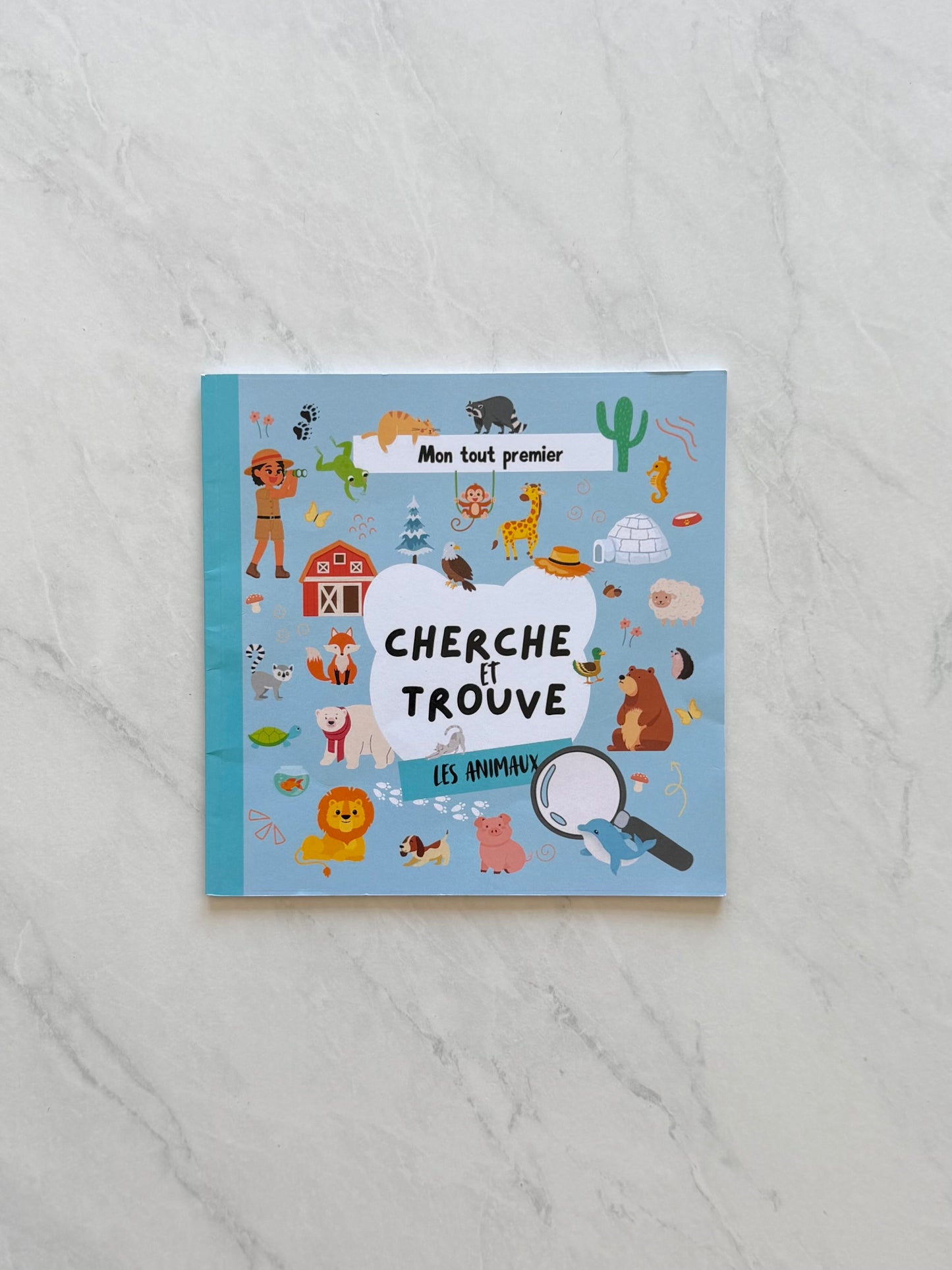 Livre cherche & trouve