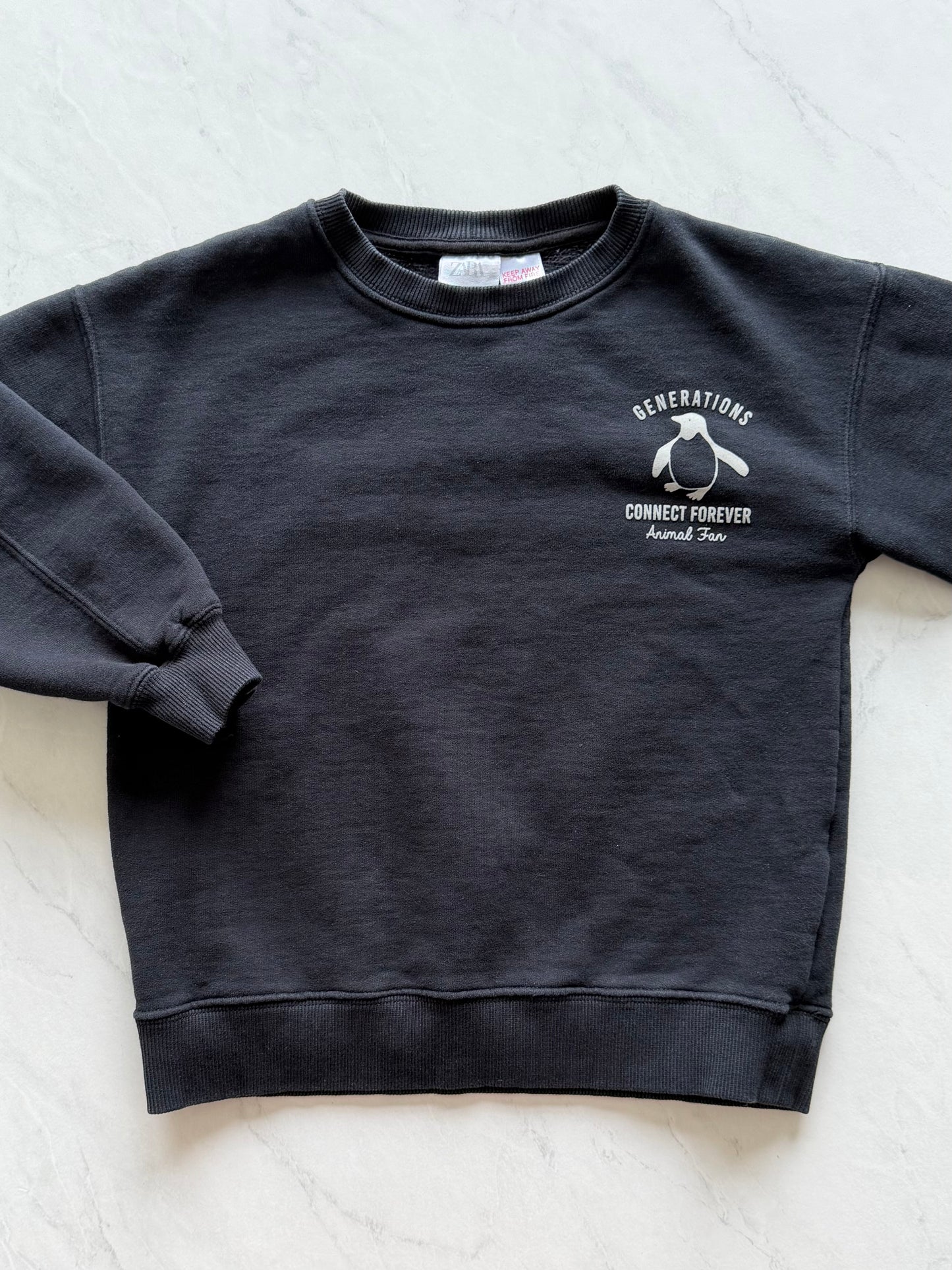 Crewneck - Zara - 4-5 ans