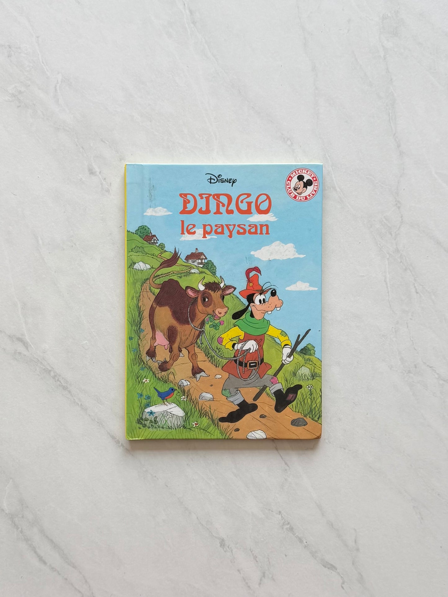 Livre jeunesse - Disney